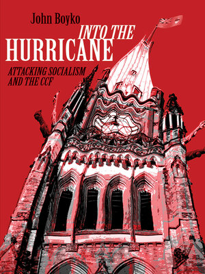 cover image of Into the Hurricane